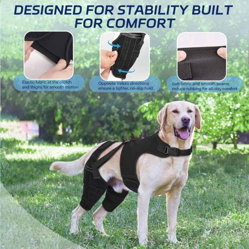 Dog Knee Brace for Torn ACL Hind Leg, Puppy Leg Brace Helps Reduce Pain from Torn CCL, Luxating Patella, Ligament, Hip Dysplasia
