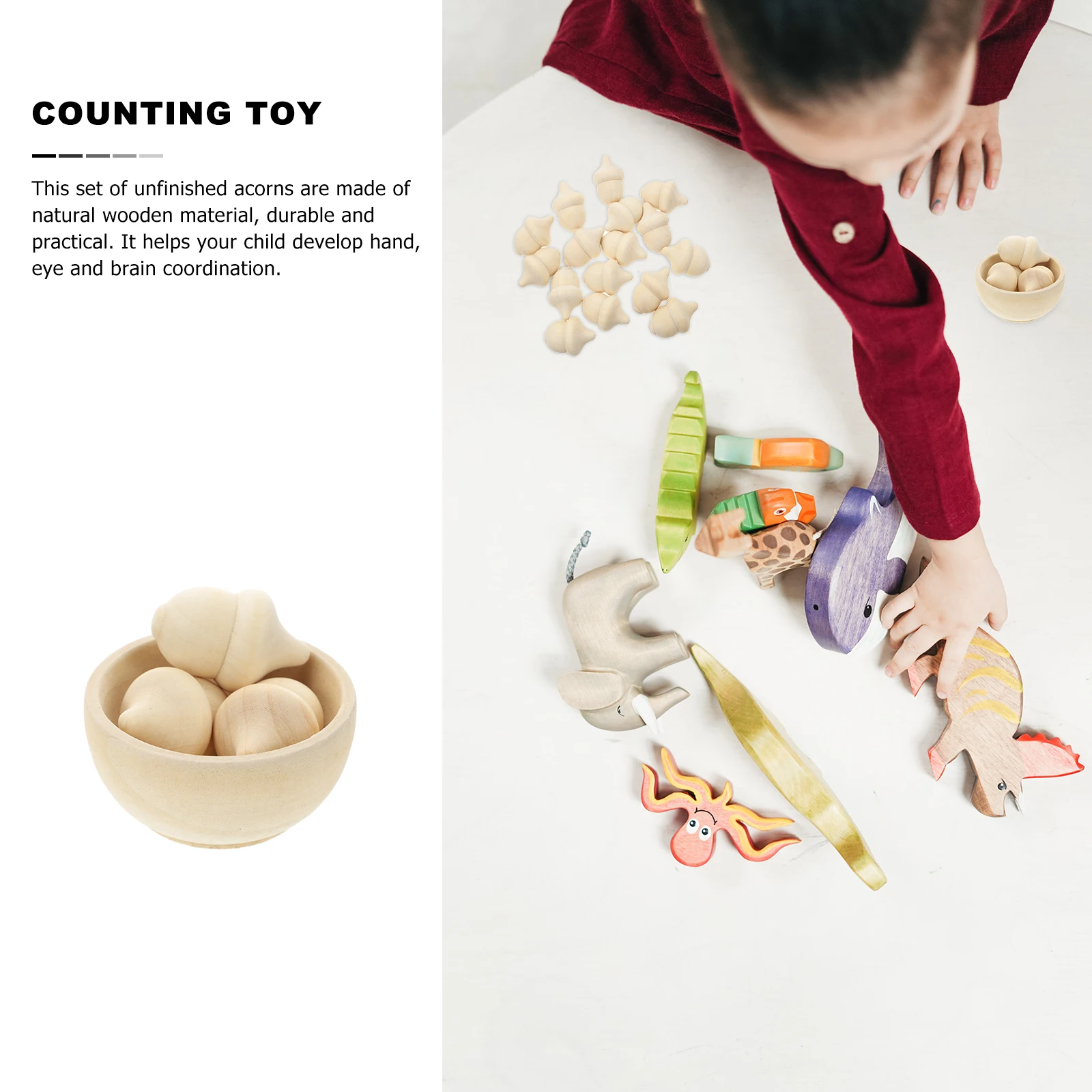 Kit de conteo y clasificación de bellotas de madera de 20 piezas, juego de madera sin terminar, Material duradero, perfecto para el desarrollo del cerebro artesanal de los niños