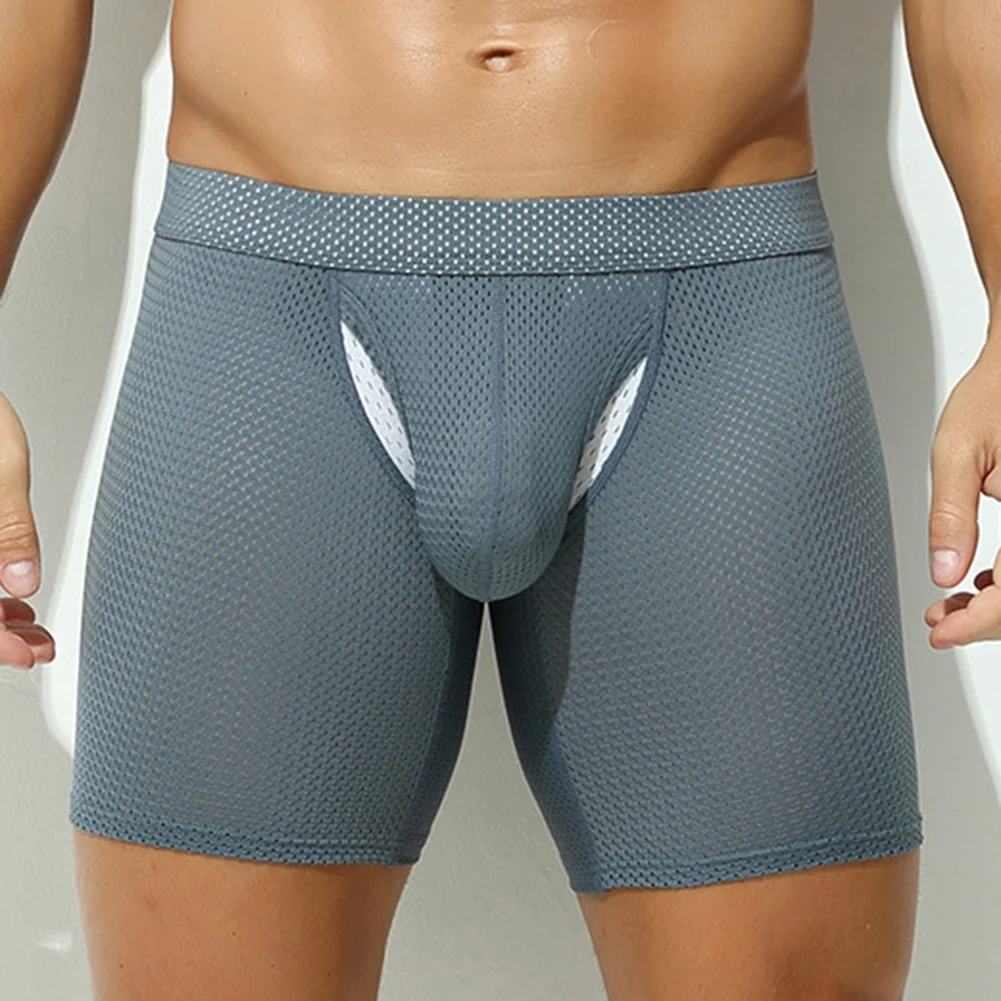 Sports Activities S XL Low Waist Underwear Mens Sexy Pouch Underpants Breathable Mesh Underpants 88 Polyamide, 12 Spandex