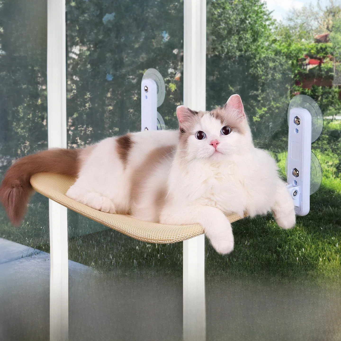 

Hanging Bed Window Side Suction Cup Multi-level Climbing Frame Hammock Foldable Pet Supplies for Indoor Cats