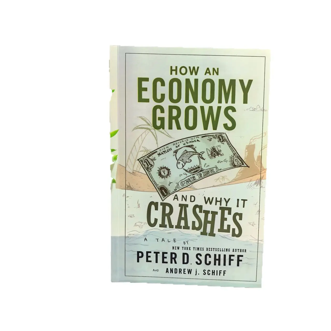 経済はどのように成長し、なぜ崩壊するのか 英語のペーパーバック本