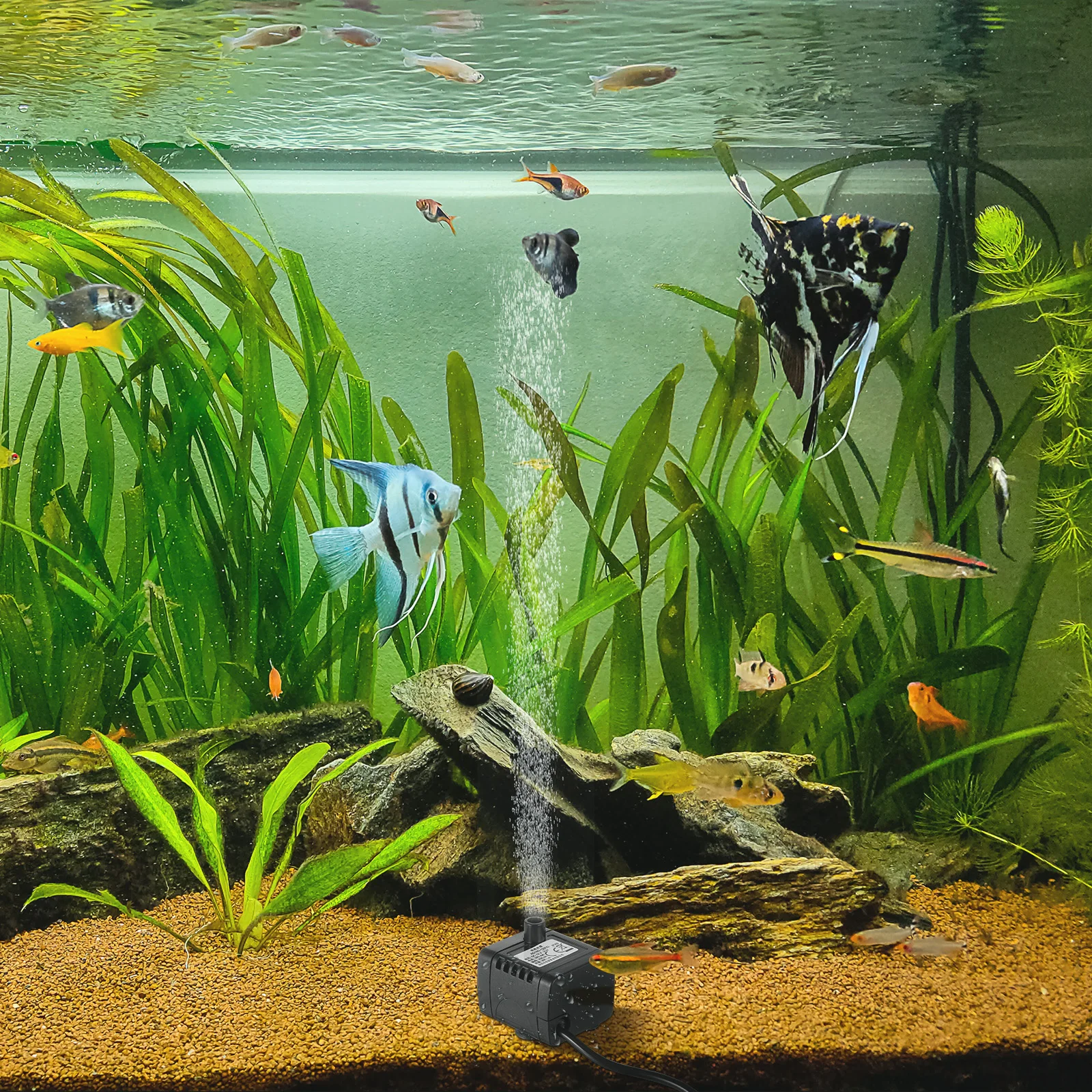 

12V 250L H DC Submersible Water Pump for Aquarium Fountain Fish Tank Black Mini High Efficiency Low Noise Durable Eco