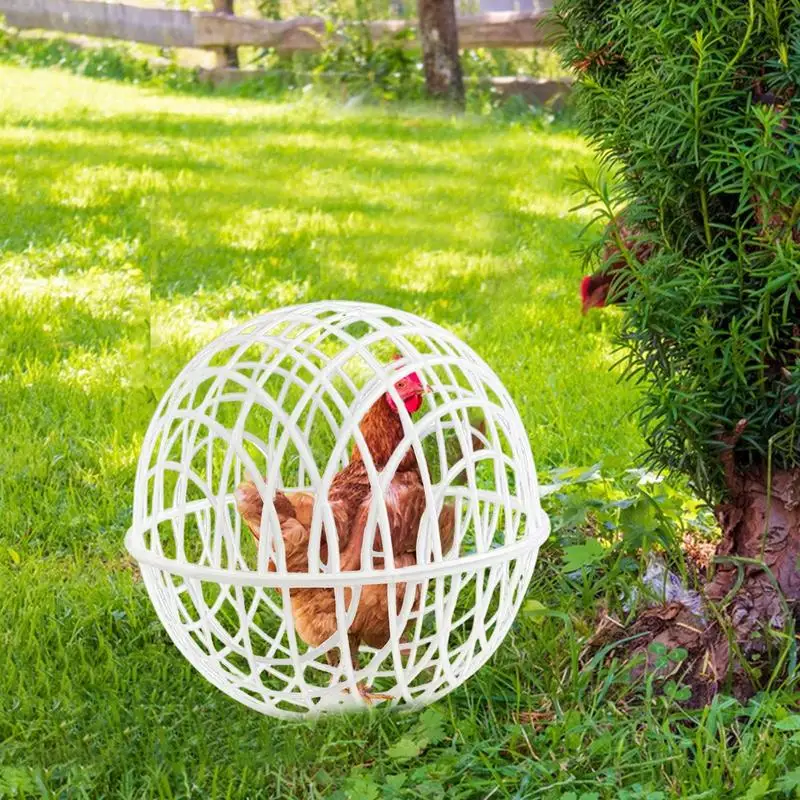 Chicken Safety Ball Cage Spherical 3 Pieces Chicken Cage Pet Safety Cage Ball-Shaped Chicken Hamster Ball Cage Safe Walking Net