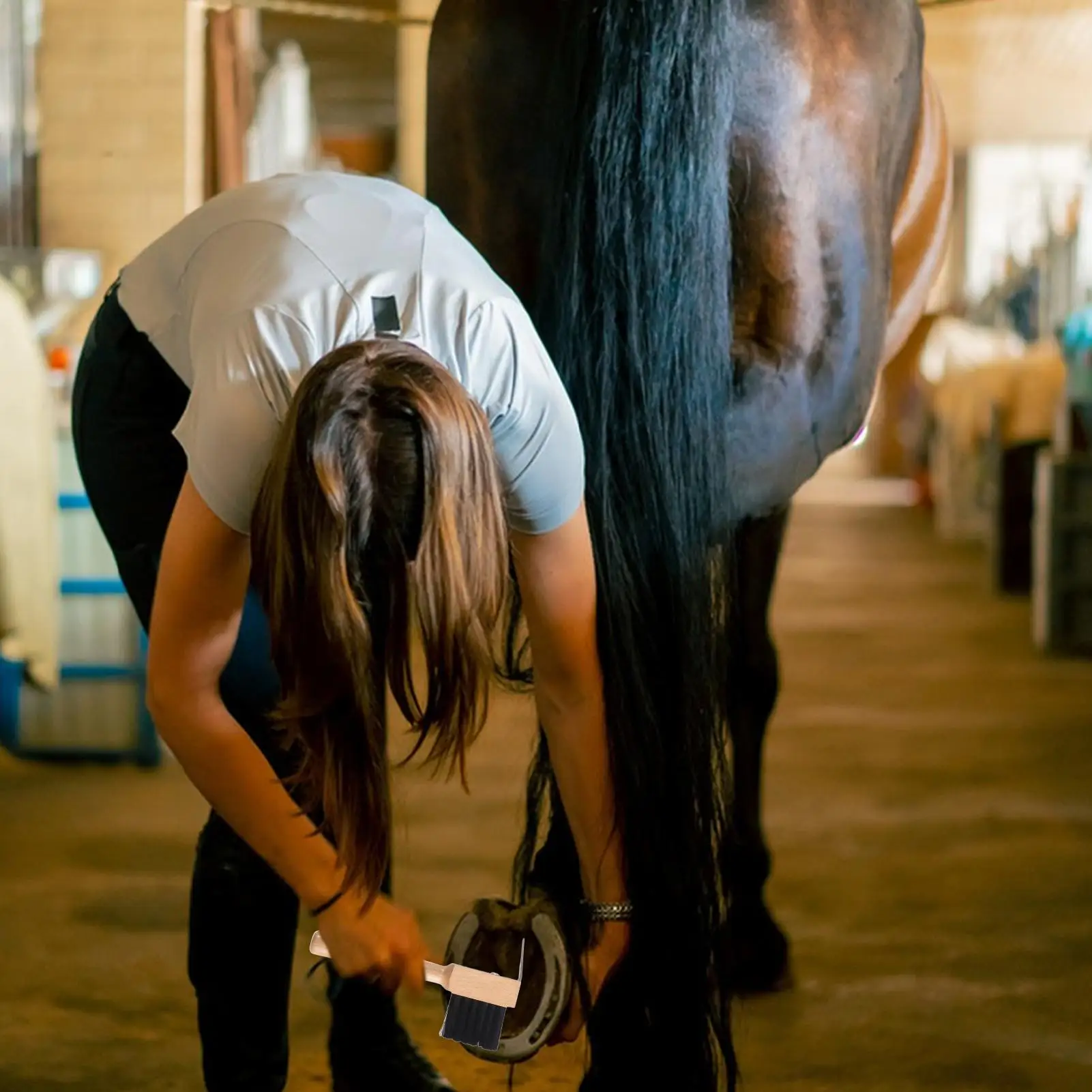 

Портативный копыта для лошади с щеткой, 2 шт., портативный конный уход, чистящие средства для ухода за грязью, мусора, грязи