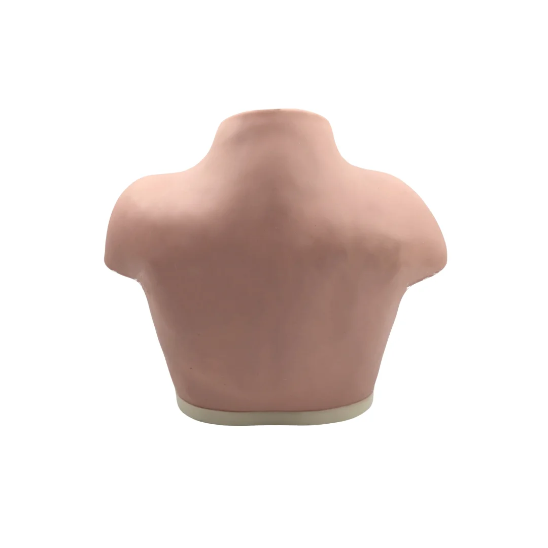 Advanced Breast Inspection and Palpation Model Medical Science Mammary Simulator Teaching Module for Medicine College Biology an