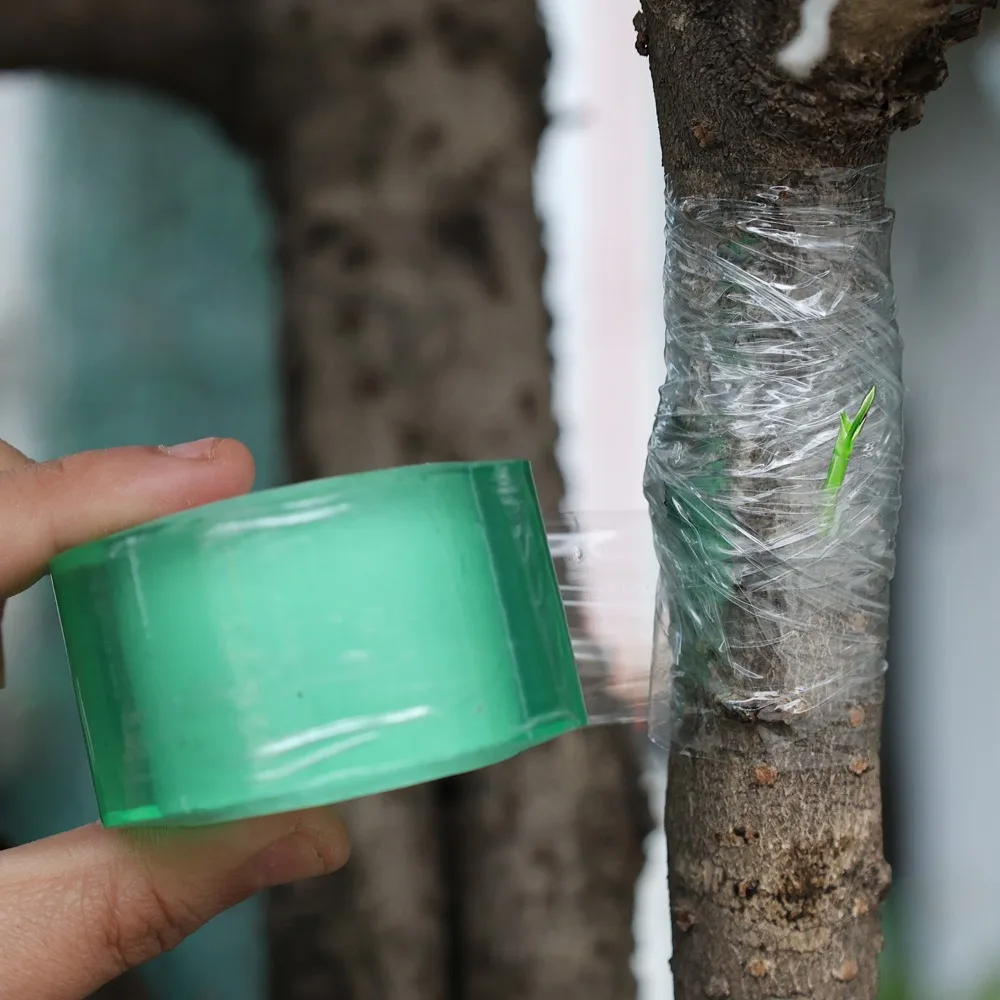 Transparent Plant Graft Film Self-adhesive Flexible Grafting Tape To Graft Trees Stretchable Garden Grafting Supply 2/3cm Width