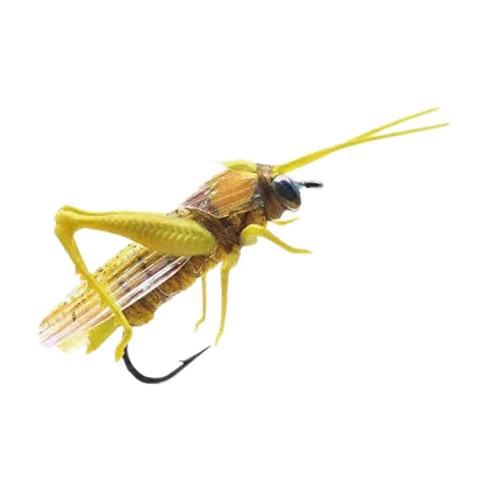 Simulation Grasshopper Locust for Tilapia Horse Mouth Fish