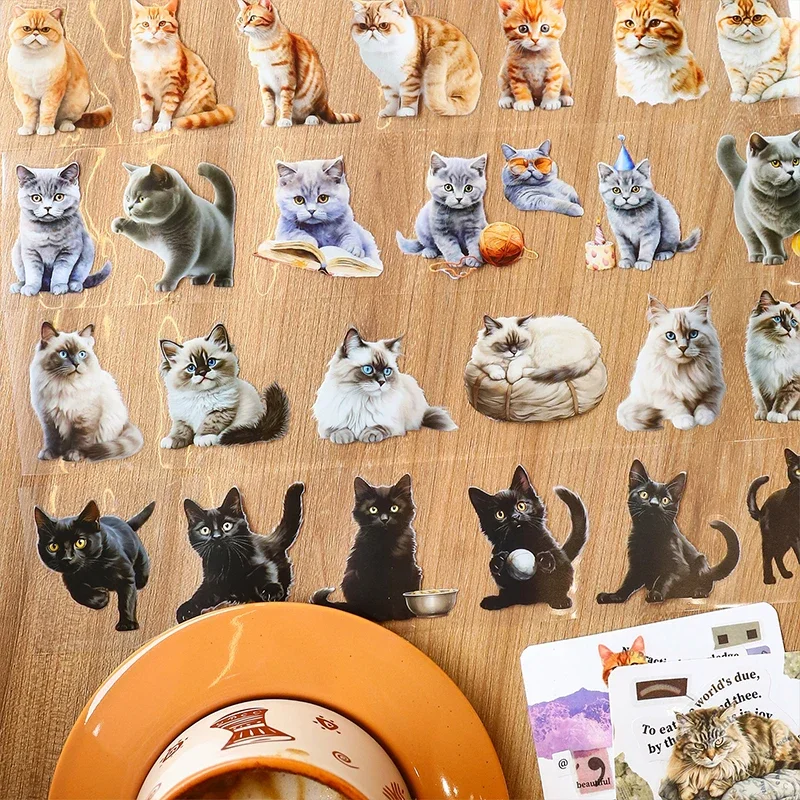 1Roll 2M PET Tapes Cat Record Adhesives Material Ragdoll Dorky Short Hair Decoration Sticker Handbook Scrapbook 55MM*2M