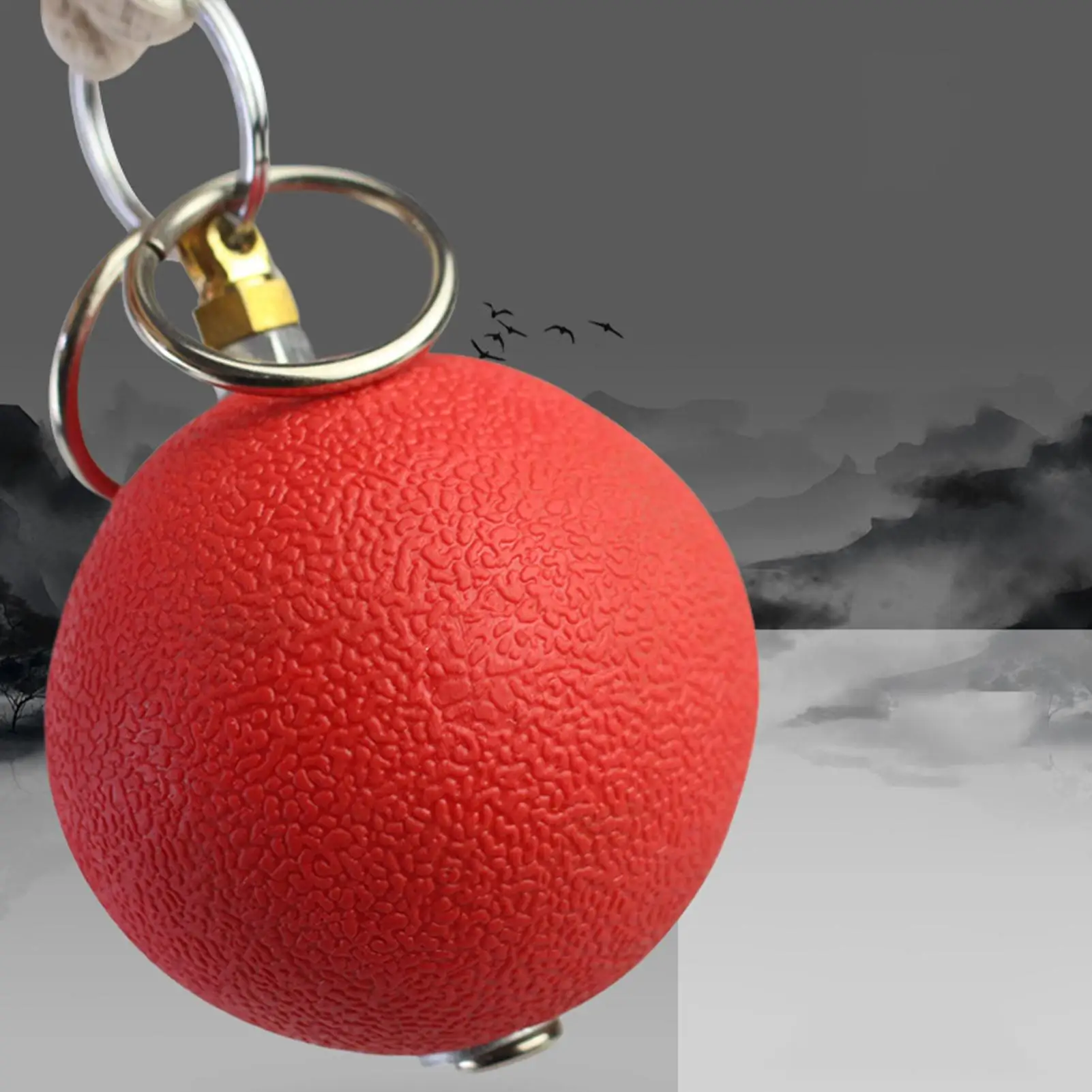 معدات فنون الدفاع عن النفس للبالغين معدات التمرين الداخلي الكونغ فو رمي الوزن للرجال والنساء والكبار كبار السن حديقة الصالة الرياضية المنزلية