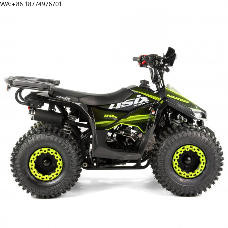 Tao Motor 2024 Kid Automatic with Reverse Chain Drive Mini Quad Bike 110cc ATV for Children
