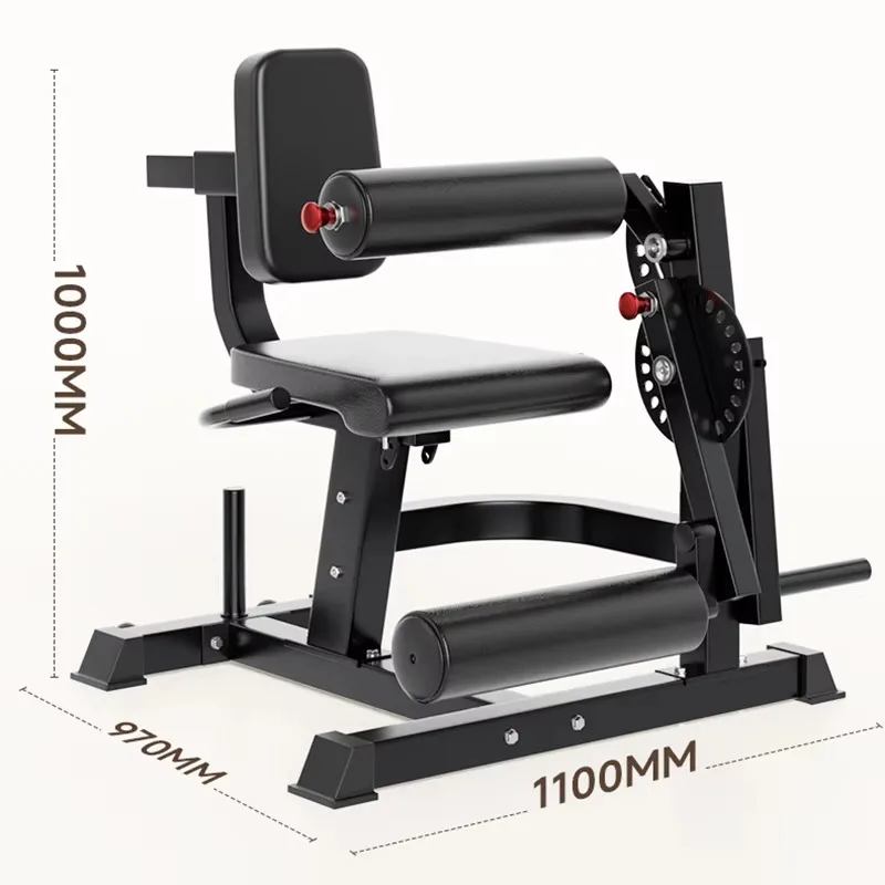 Factory Direct Sales Adjustable 6 Position Bench Multi Leg Extension and Curl Machine for Home Gym Use Fitness Equipment