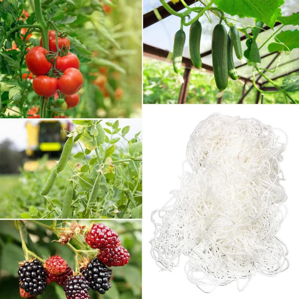 Kletternetz für Gartenbaupflanzen, gewebtes Netz aus Polyester, geeignet für andere Kletterpflanzen wie Tomaten, Bohnen, Trauben usw – Detail 4