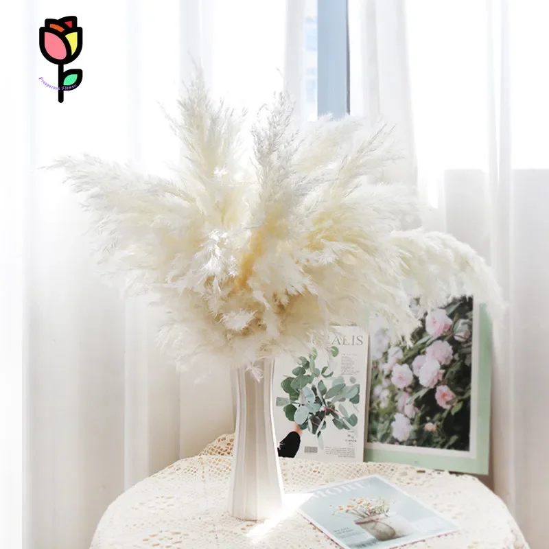 

10Pcs Fluffy Water Pampas Dried Flower Wedding Party Decoration Artificial Plants Reed Eucalyptus Leaves Home Living Room Decor