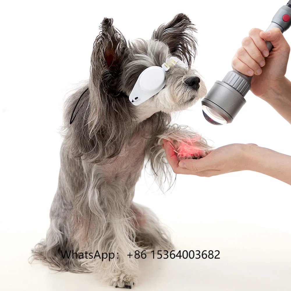 

2025 Class IV Laser Therapy Pets Rehabilitation Machine for Animals Surgical Fast Rehabilitation