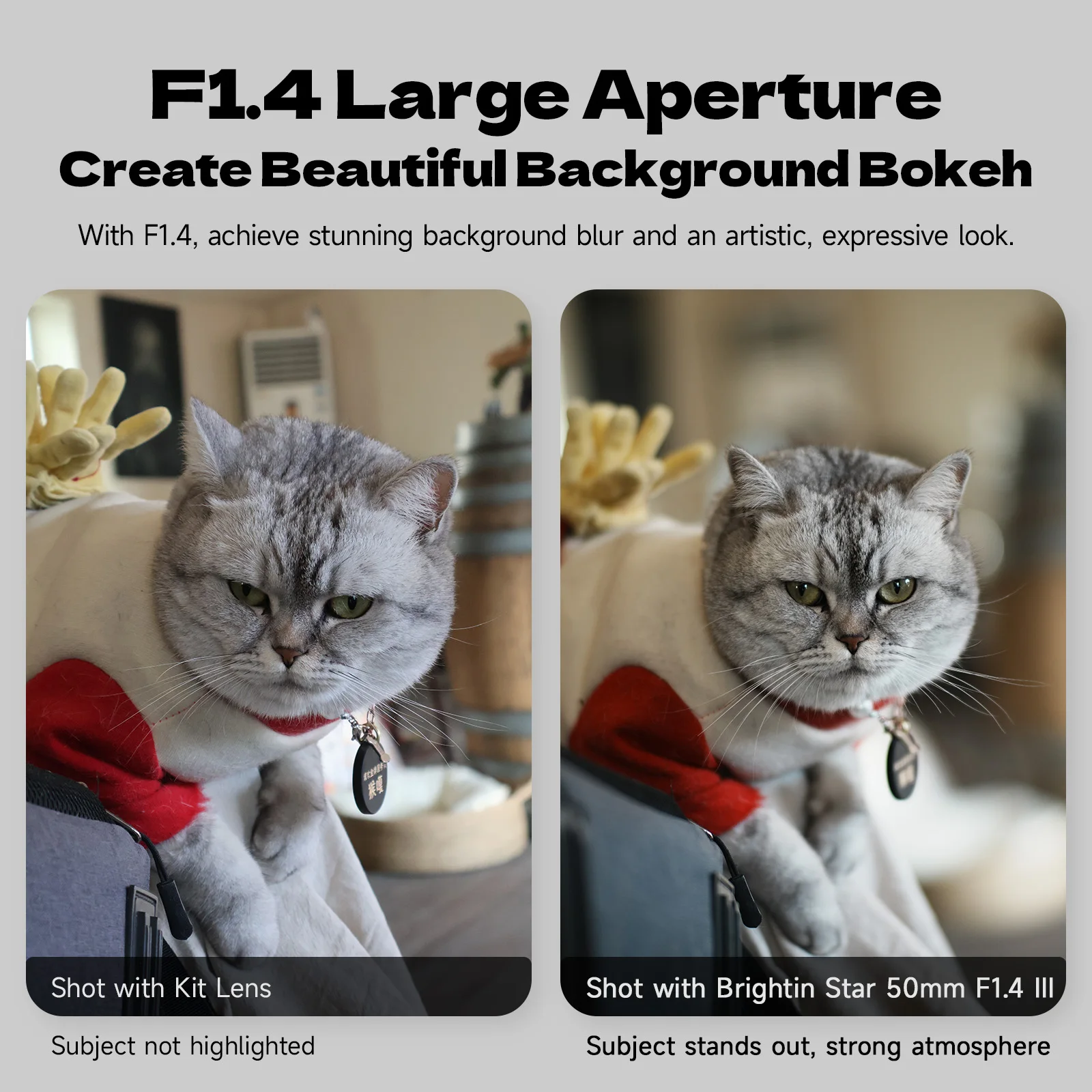 برايتن ستار MF 50mmF1.4 III APS-C Fuji XF Canon EF-M Sony E M4/3 Mount Canon RF