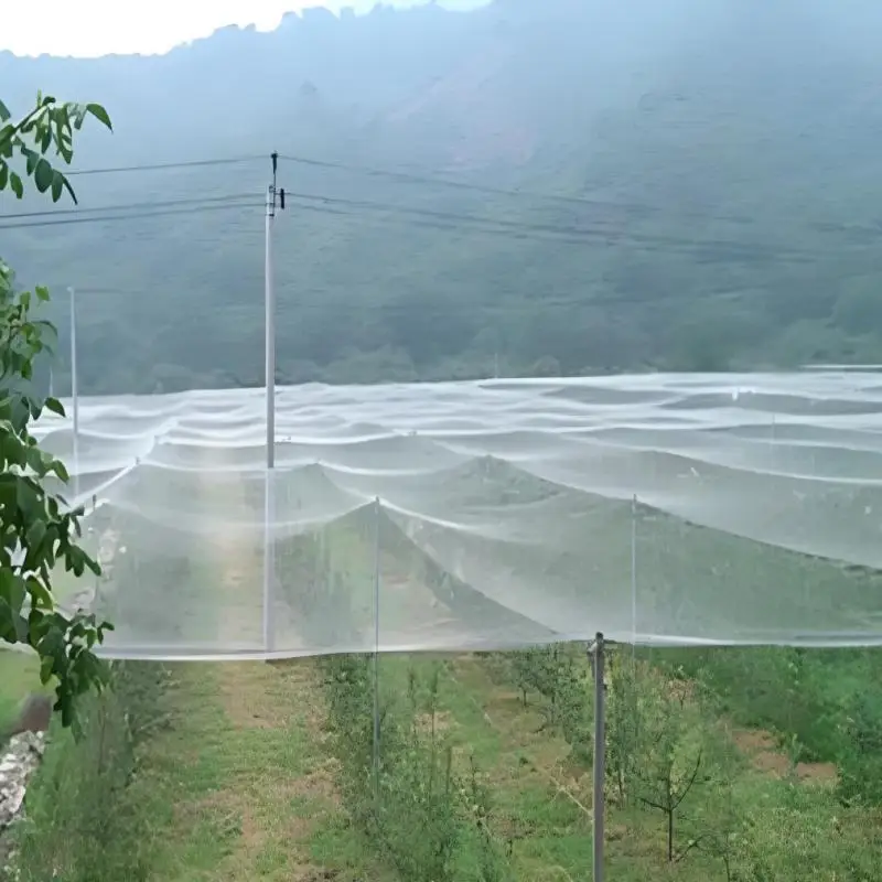 

Bird Protection Net, Fine-meshed Bird Net, Cat Net For Balconies Without Drilling Leaf Net For Fine-meshed Pond Cover Net