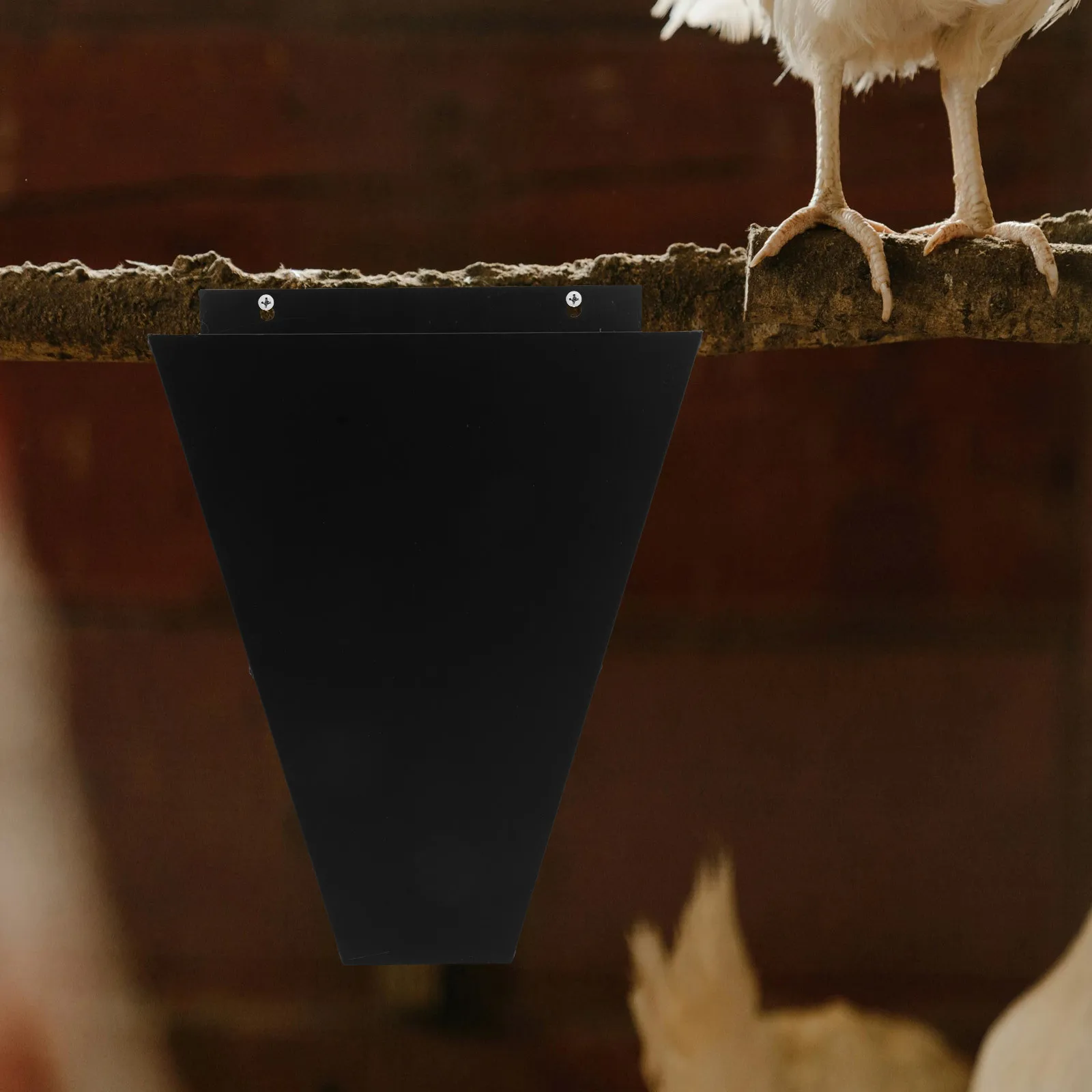 

Chicken Slaughtering Cone Stainless Steel Poultry Killing Funnel Large Chicken Bleeding Duck Processing Efficient Size