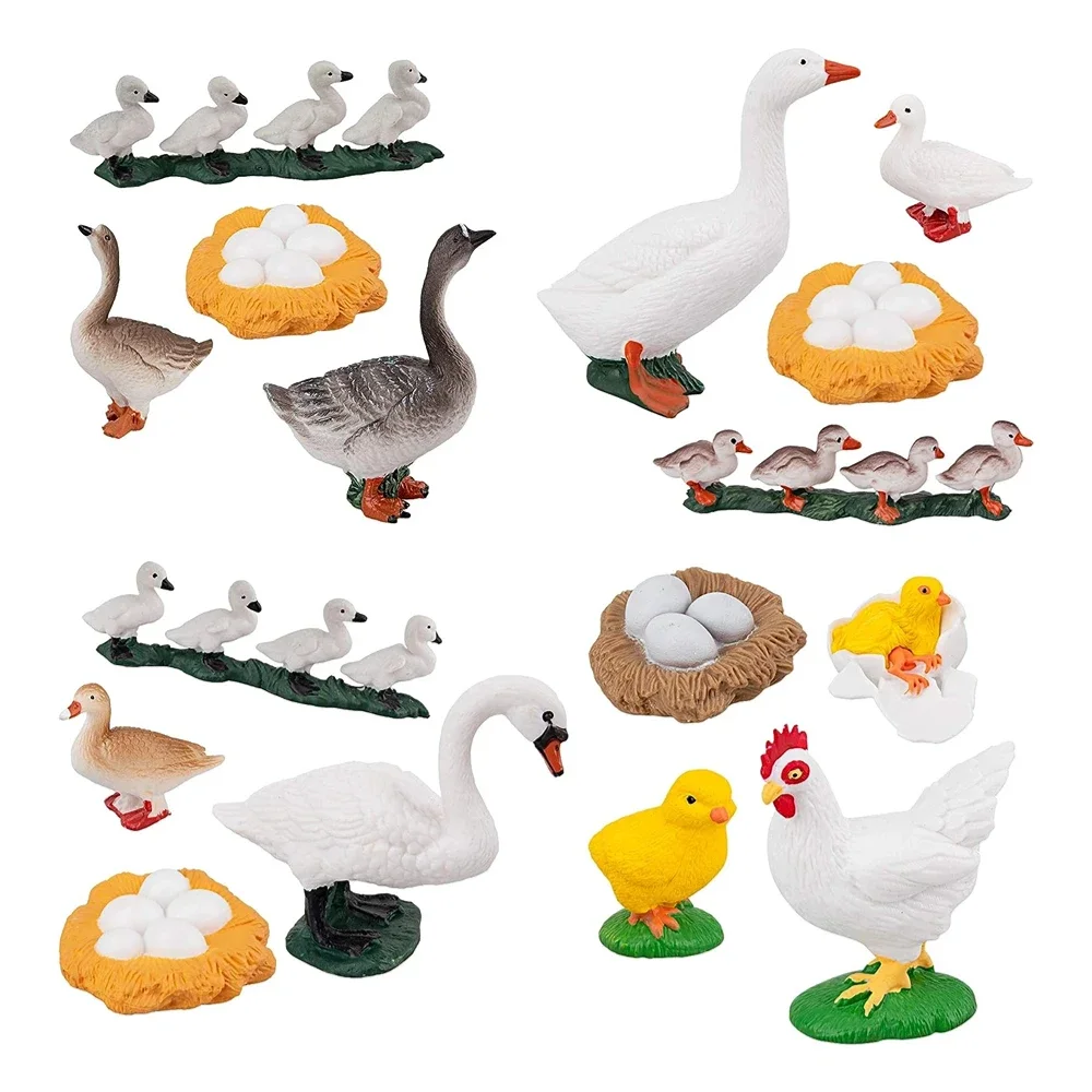 

16 шт. жизненный цикл гусиного белого лебедя, курицы, утки, фермы, пластиковые циклы роста яиц, фигурки, игрушечный комплект