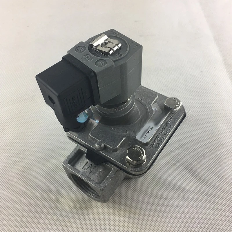 CA25T010-300 CA25T010-305 DN25 1