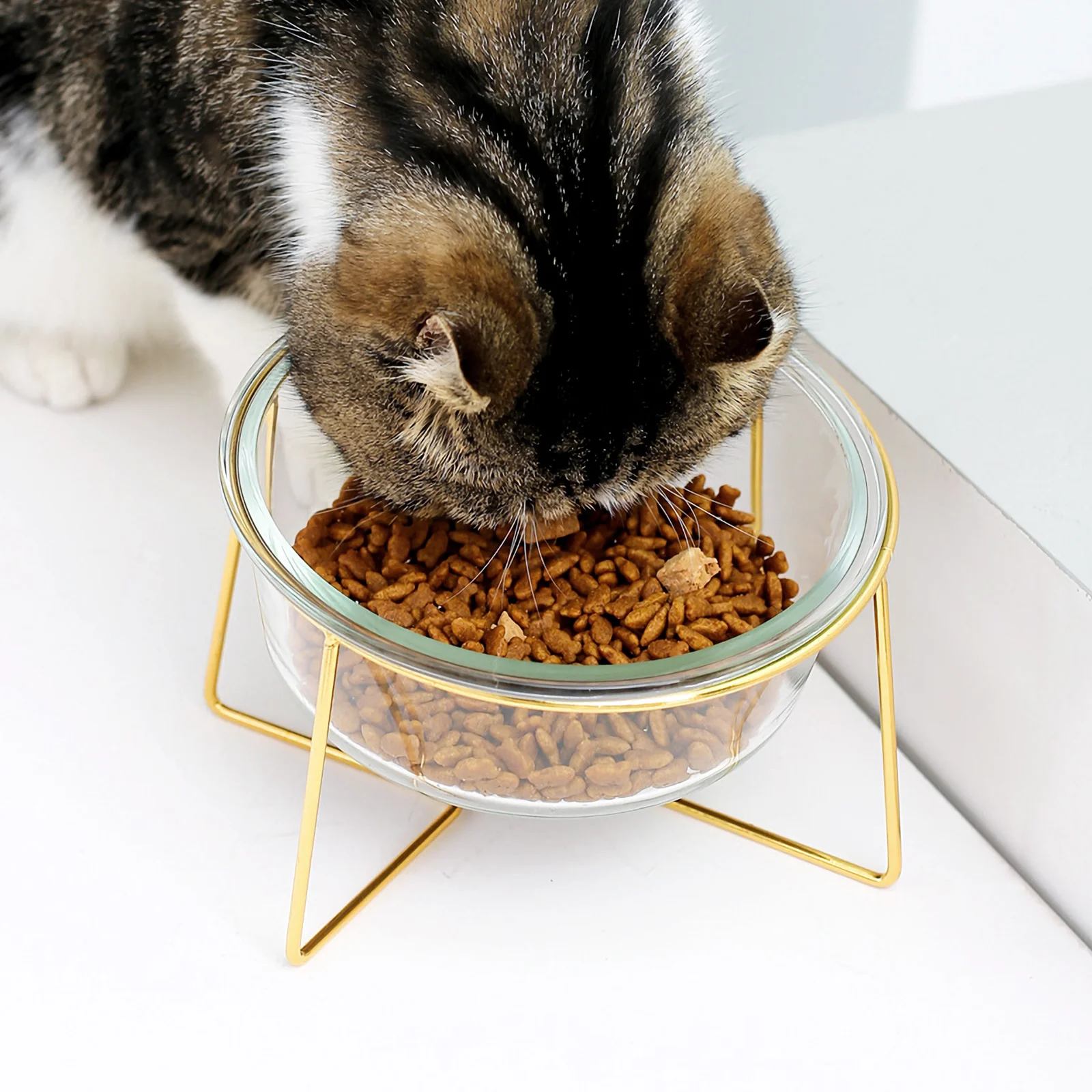 

Durable High Base Pet Feeder 1Pcs Glass Bowl for Cats Dogs Long-Lasting Use Smooth Touch Comfortable Feeding Experience Food