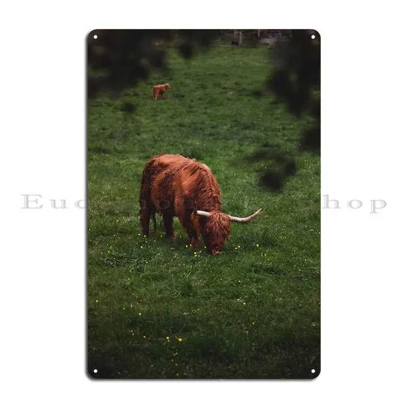 Grazing Highlander Metal Sign Party Garage Decoration Cinema Printed Mural Tin Sign Poster