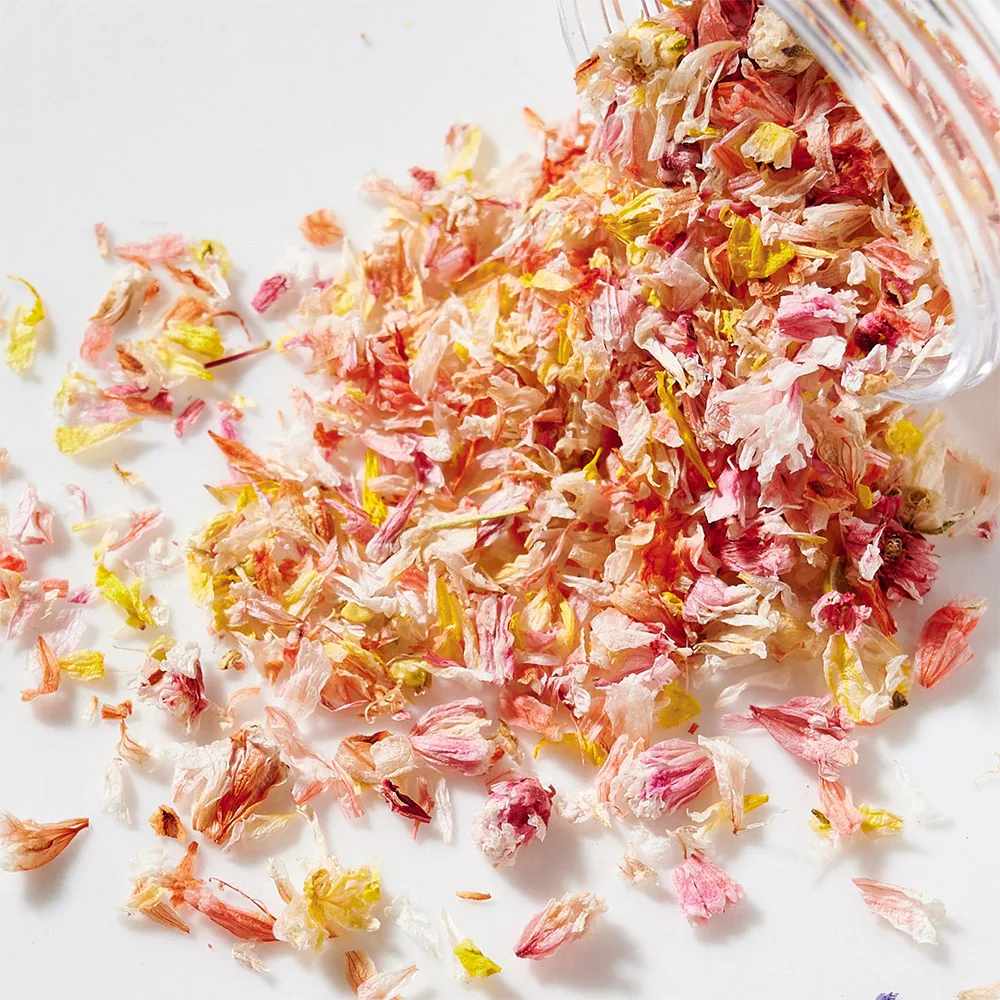 Summer Dried Flower Nail Art Decoration 3D Natural Real Floral Sticker UV Polish Pressed Flowers Crushed Accessory Jewelry Decal