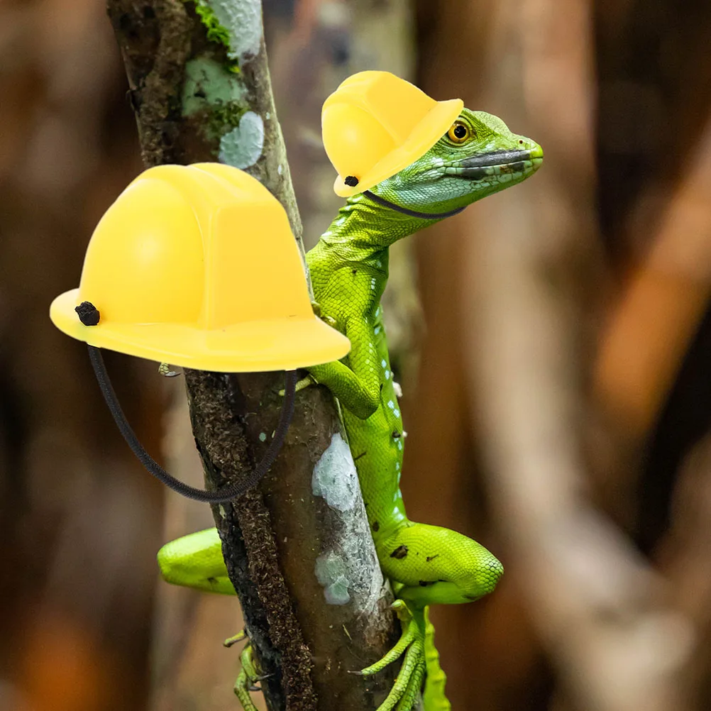 

4Pcs Reptile Decorative Hats Durable Plastic Mini Helmets Pet Cosplay Caps Lizard Snake Pet Headwear Lizard Hat