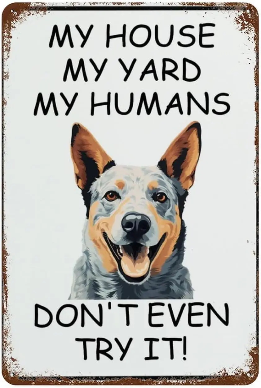 Funny Vintage Tin Sign Australian Cattle Dog My House My Yard My Humans Pet Dog Retro Metal Tin Sign Vintage Aluminum Sign  sign