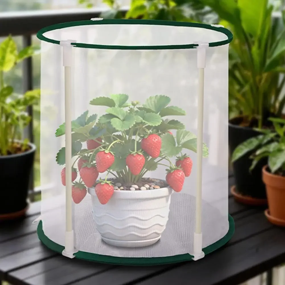 Foldable Plant Observation Cage,Winter Plant Protection,For Gardens, Indoors Foldable Insect-proof -Seedling Cage Large Outdoor