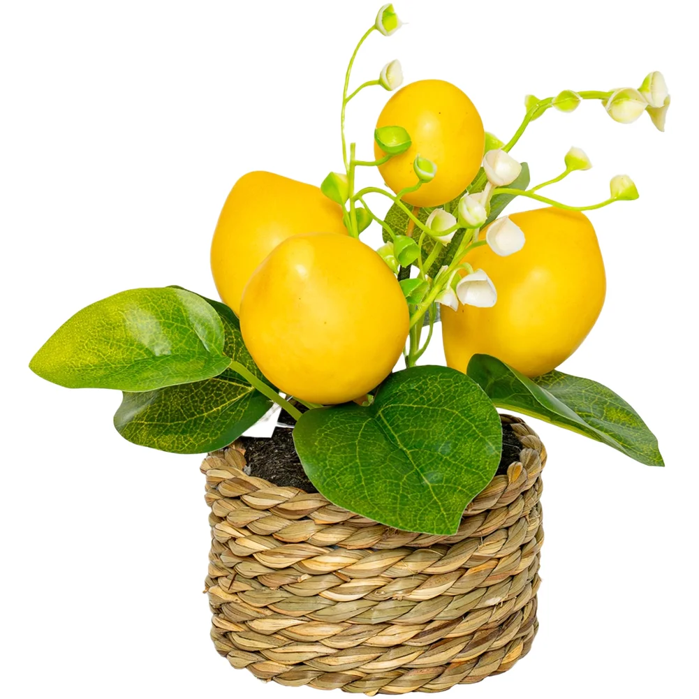 Realistic Artificial Lemon Tre - огляд і ціна Bonsai Garden Sushi