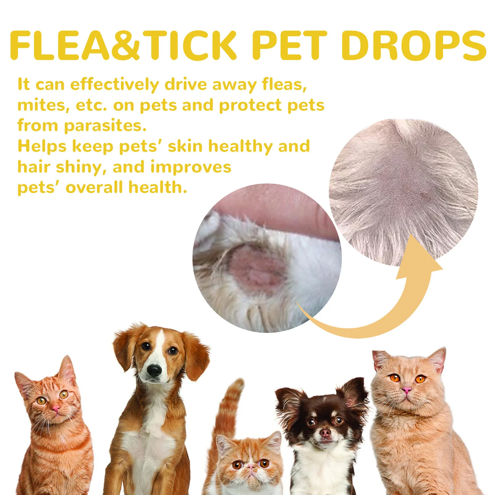 Cat Anti Flea Drops Flea Lice Remove Relieve Skin Itching External Insect Repellent Deworming Supplies Pet Tick Treatment Drops