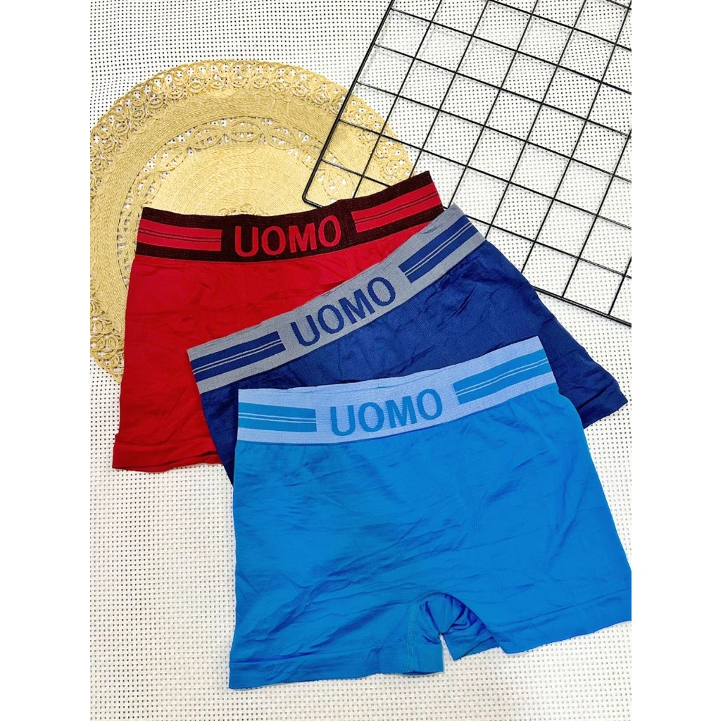 Kit 3 Cotton Men's Boxer Briefs-Varied and Assorted Colors