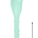 

6PCS Dental Plastic Sonic Powered Endo Irrigation Tips Fit For Dentistry Air Scaler Handpiece Irrigator Tip Lab Material