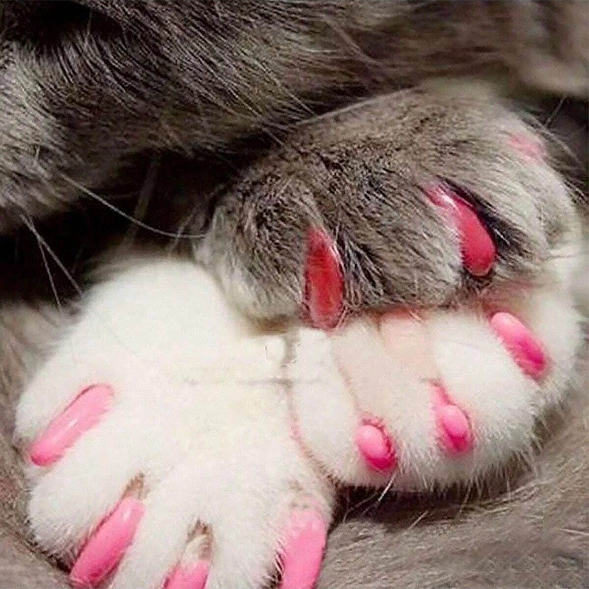 20pcs- Colorful Cat Nail Covers - Keep Your Cat\'s Paws Safe & Stylish!