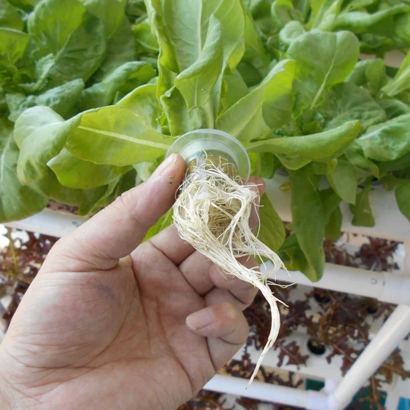 Hidroponia Crescendo Sistema Para Plantas, Vasos De Jardim Verticais, 108 Buracos