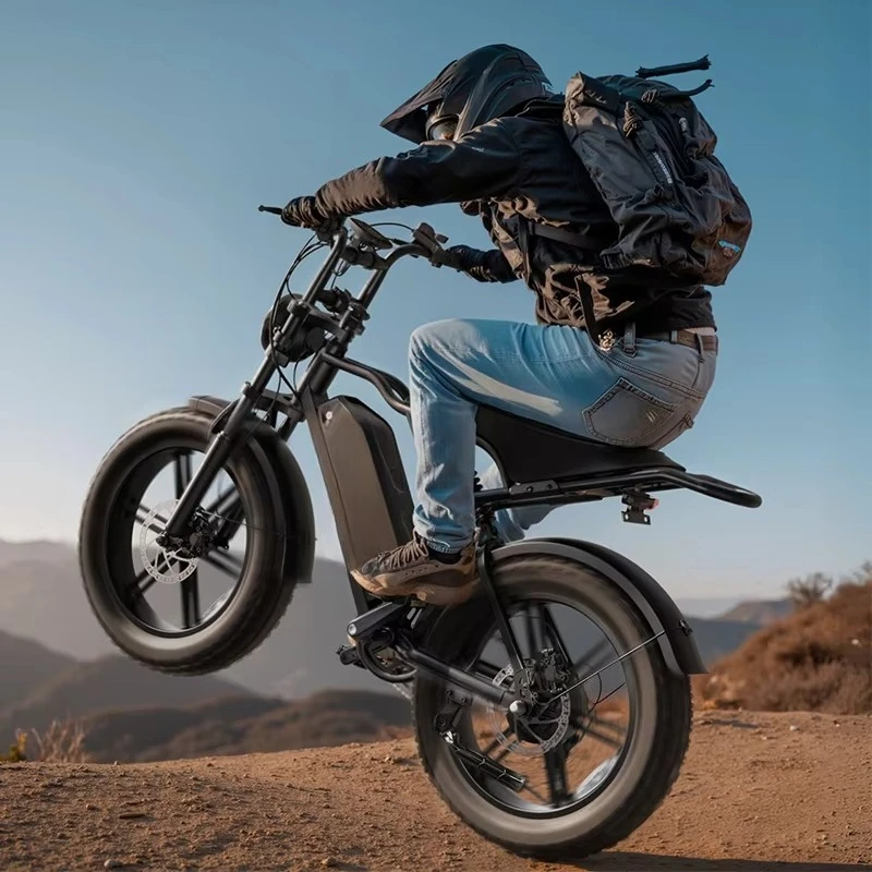 

SXLL 20-Inch fat tire electric bicycle with 1500-watt hub motor and 48V 20-inch lithium battery hydraulic disc brakes for urban