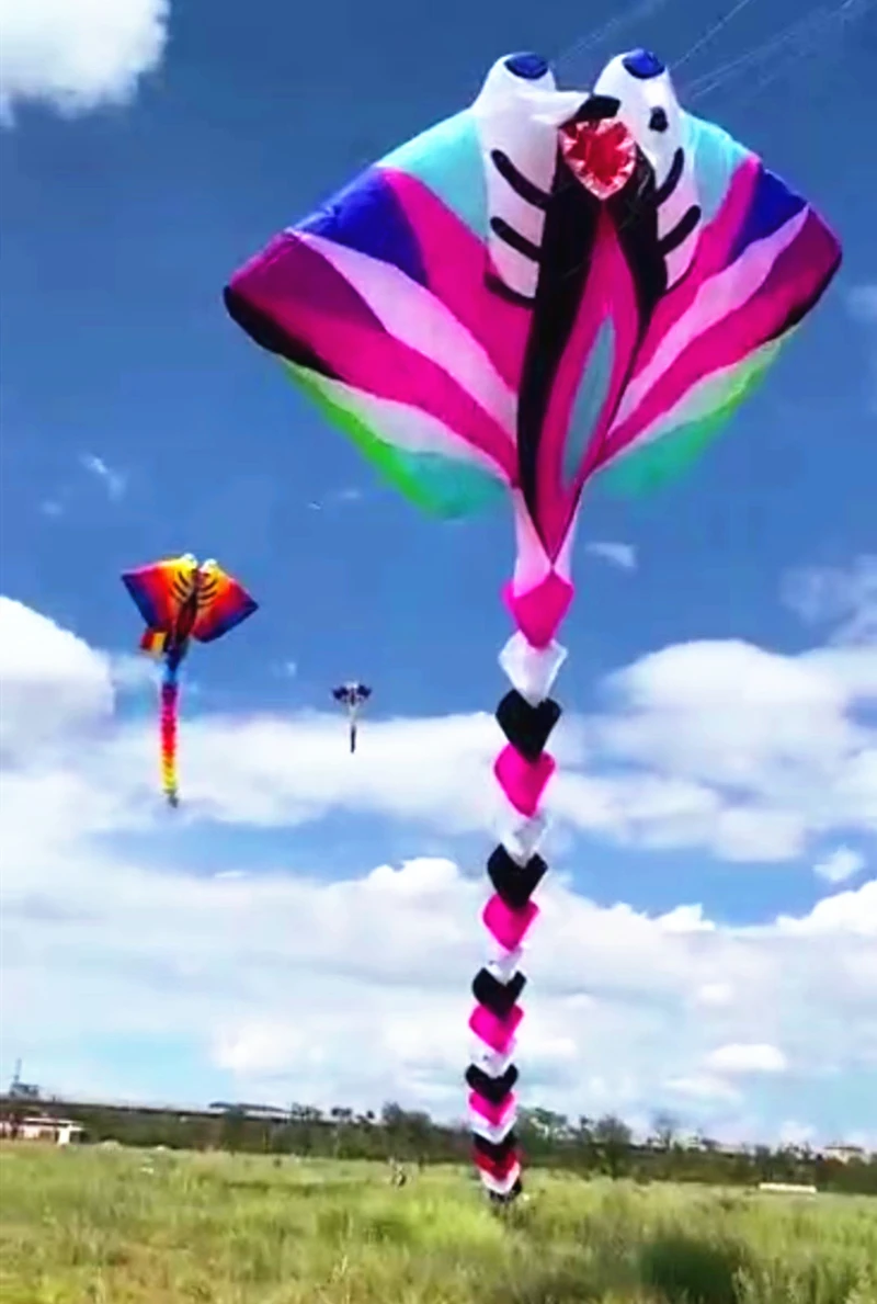 Pipa grande con rayo volador para adultos, pipa con forma de diablo, pipa inflable, avatar weifang albatruz, fábrica de pipas, diversión para surf