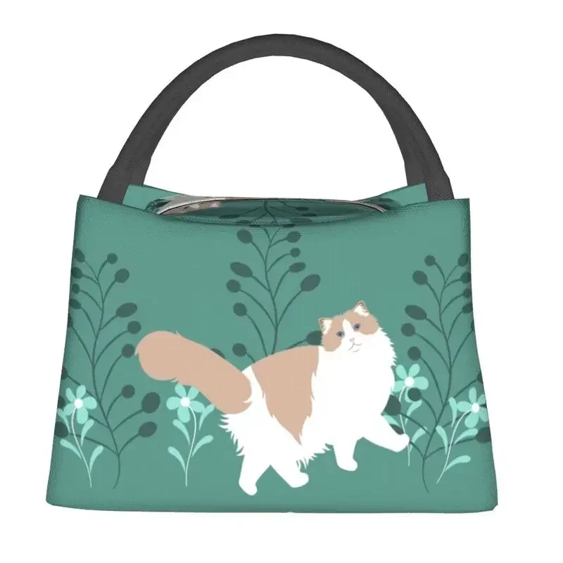 

Элегантные сумки для обеда с изображением кота Ragdoll на заказ, мужские и женские теплые изолированные ланч-боксы-холодильники для работы, пикника или путешествий