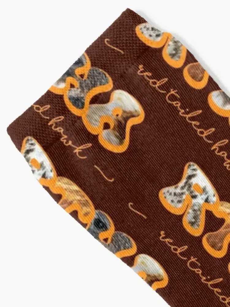 Raptor Detail in Abbreviation - Red Tailed Hawk Socks winter men cotton high quality colored Luxury Woman Socks Men's