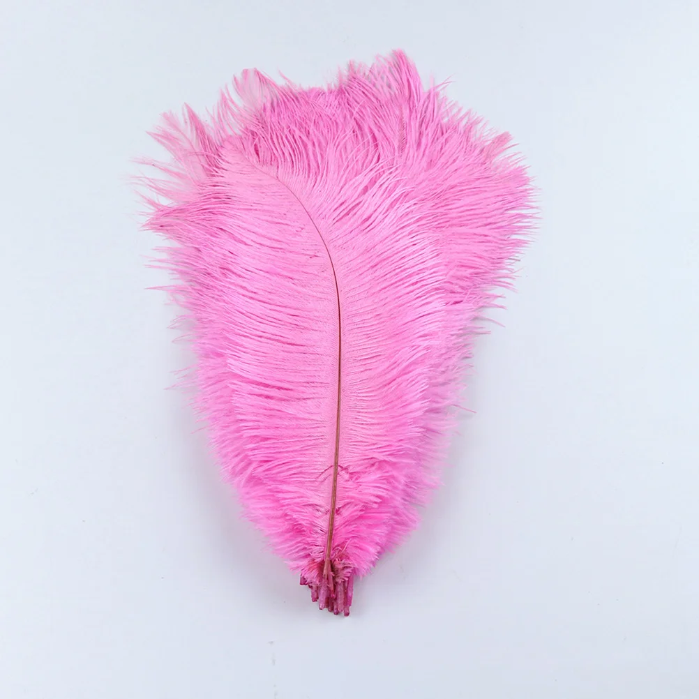 

10pcs Wedding Ostrich Masks White Natural For Party Costumes Home Decor Crafts Centerpieces Ostrich Handicraft