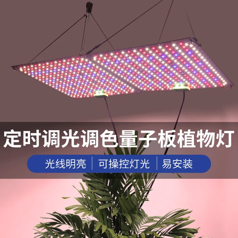 Dimmable Full Spectrum LED Grow Light Quantum Tech Light 60W120W Lamp For Plant With VEG/BLOOM Mode