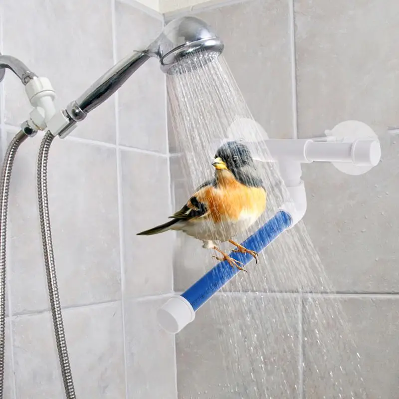 الببغاء دش جثم شفط كأس Bied جثم دش حامل لعبة جدار جبل رف قائم قفص الببغاء اكسسوارات حمام اللعب ل