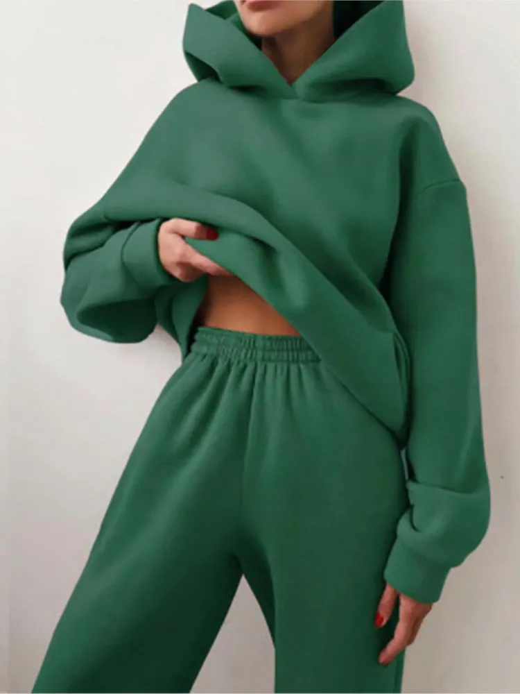 

Nice Spring New Two Piece Pant Sets Women Solid Thick Sweatshirts Hooded Full Sleeve Elastic Waist Spliced Long Pants Casual Sui