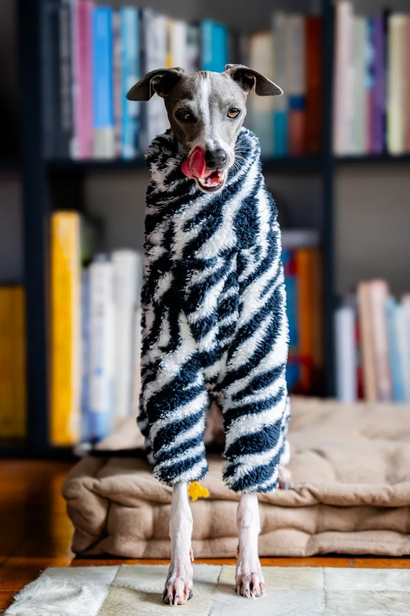 new zebra double-sided velvet puppy clothes warm and soft medium-sized dog clothes suitable for small greyhounds/whippets