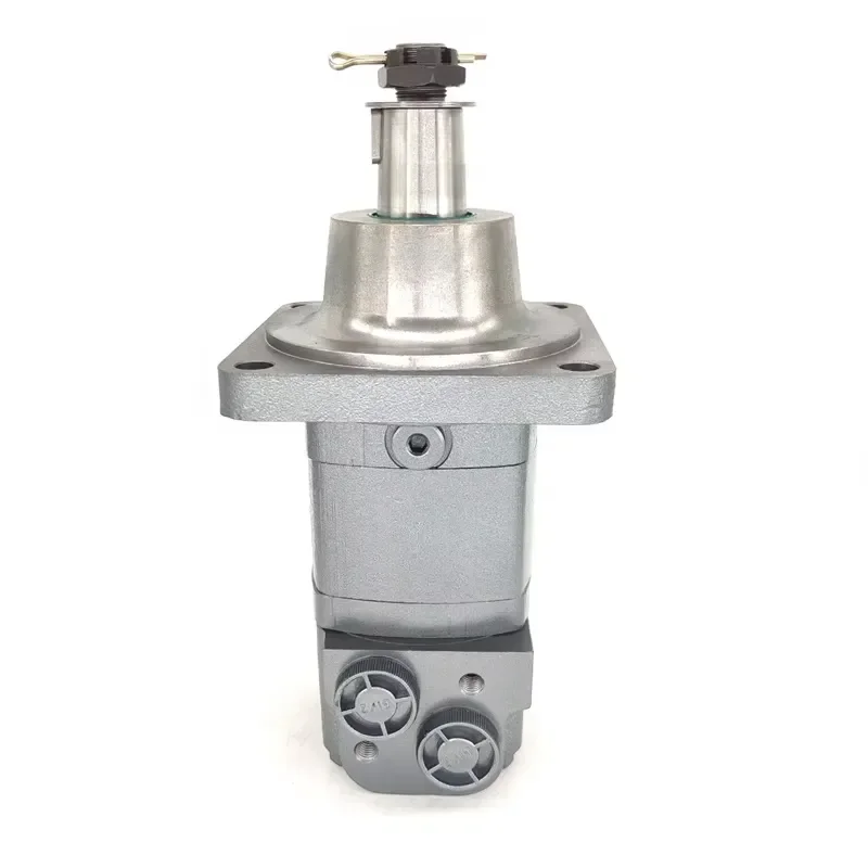 OMSW BMSW Hydraulic Motor 80 100 125 160 200 250 315 400 475 Rail Drive Unit for Industrial Machinery High Torque Output Rail