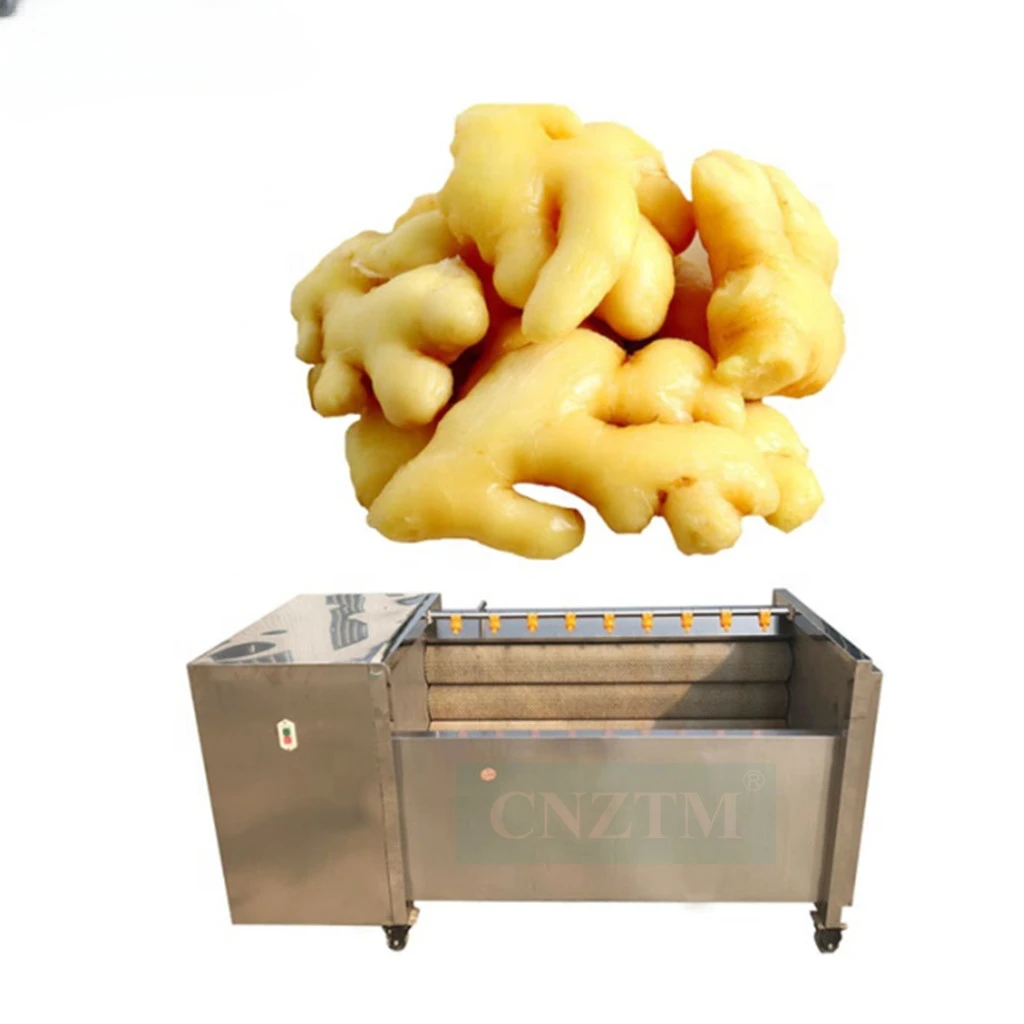 Semi Automatic Ginger Washing Machine  Potato Carrots Peeling Machine Potato Peeling Machine