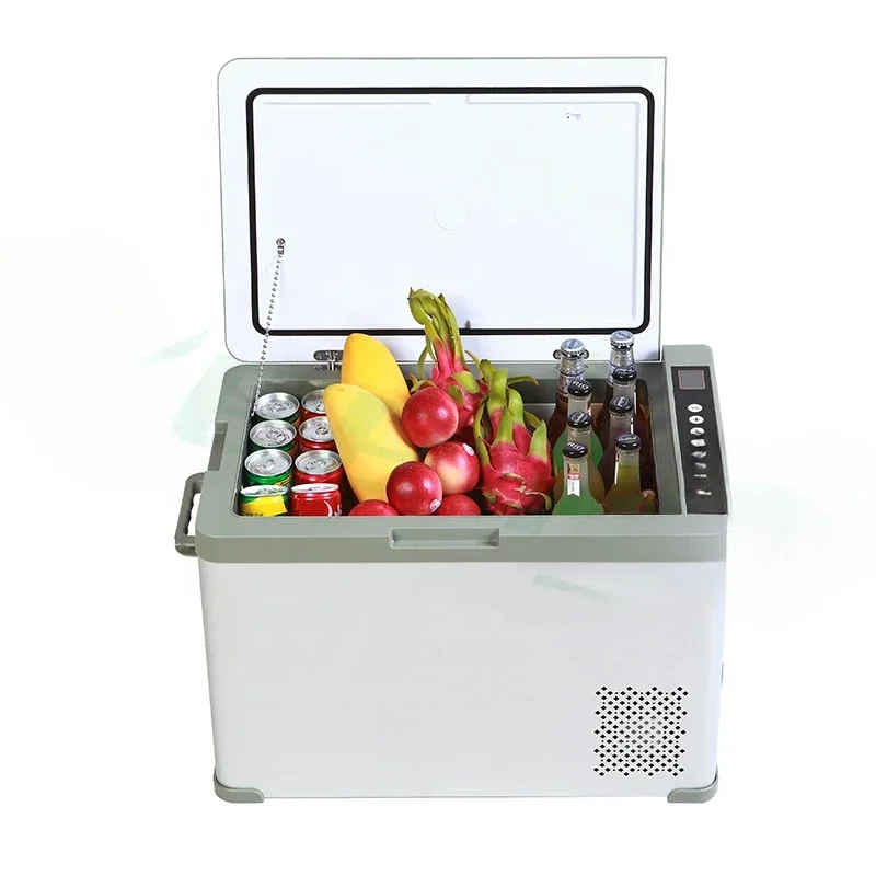 

40L Low Power Consumption Car Mini Fridge Car Fridge Refrigerator Cosmetic Fridge