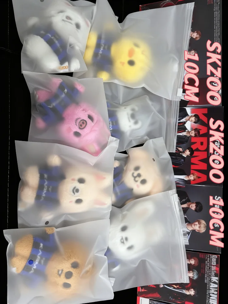 متوفر SKZOO 10 سنتيمتر مجموعة سلسلة مفاتيح قطيفة الضالة الاطفال كارما سلسلة لينة دمية محشوة قلادة K-pop البضائع التعبئة والتغليف الفريدة