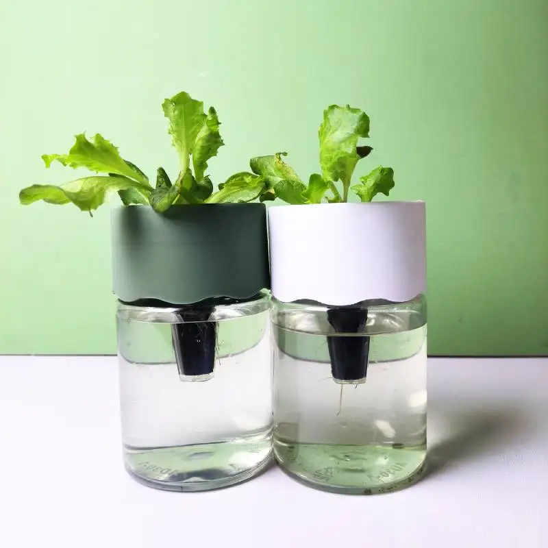 [6개 팩] 투명 수경재배 세트 |     뿌리 성장 시각화 + 조류 예방 디자인 |     집/사무실 게으른 원예 |     사무실 스트레스 완화 장치