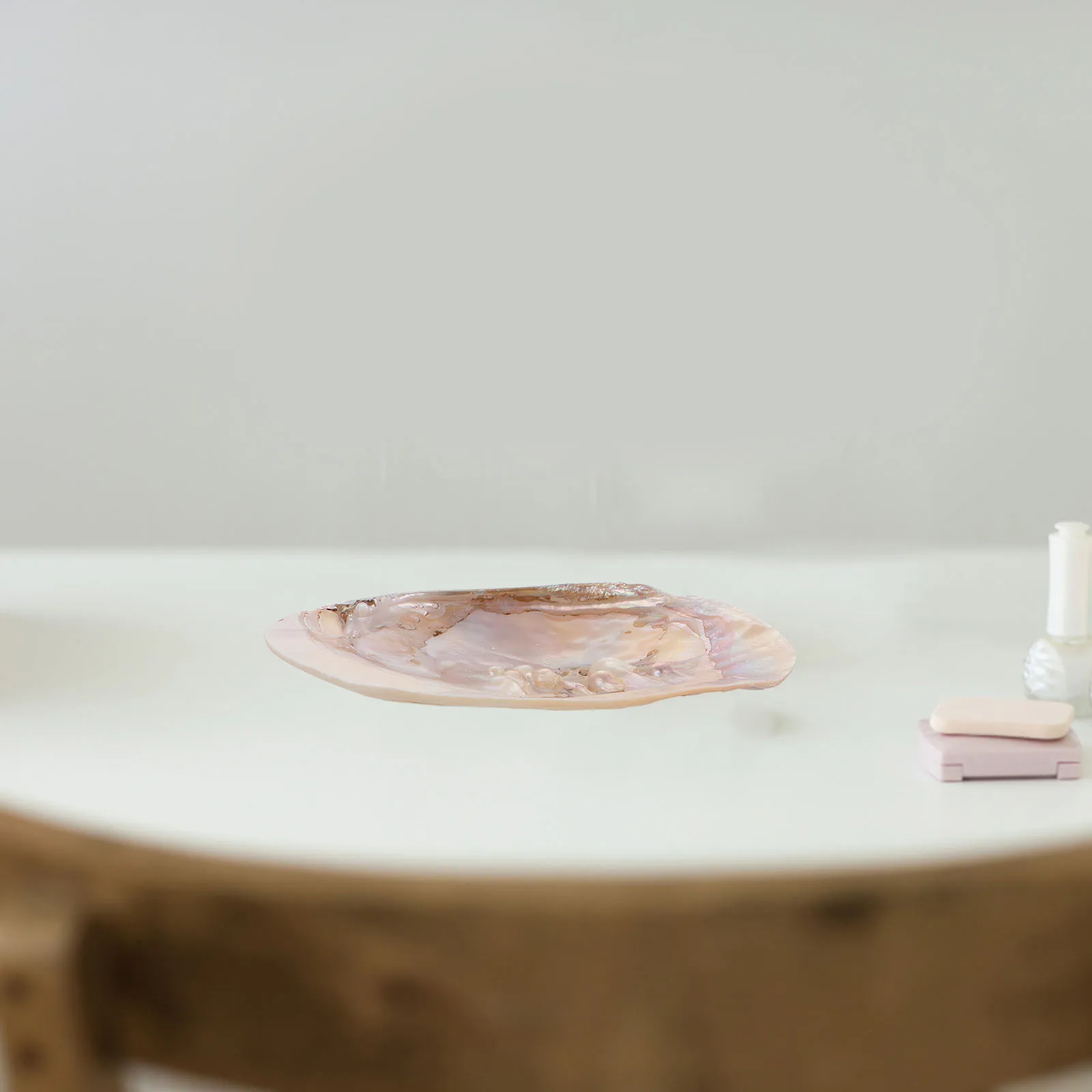 

Household Shell Jewelry Tray Natural Large Shell Wear Resistant Chic Jewelry Organizer Dresser Countertop Decoration Seashell